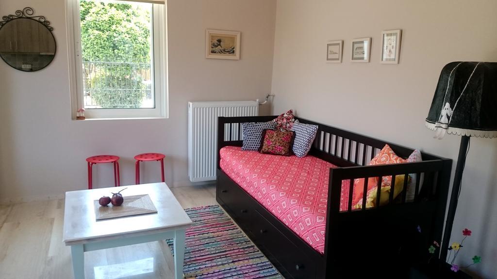 Eleni Apartment 萨米 外观 照片